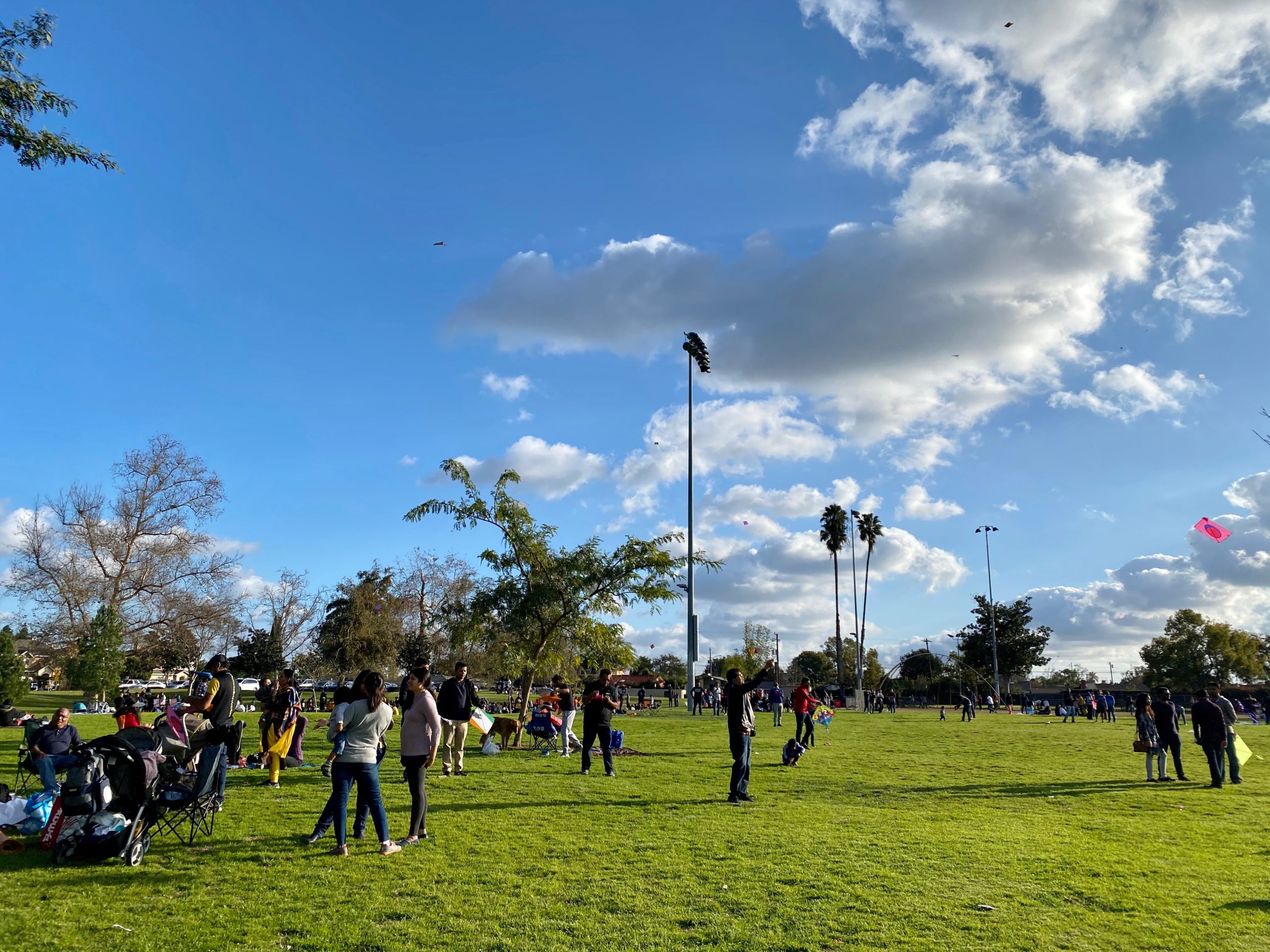 Uttarayan Kite Flying Festival in Los Angeles California